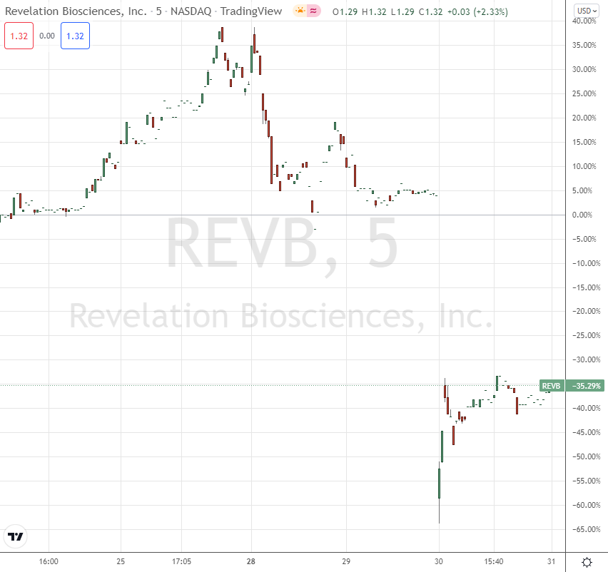 REVB Most volatile stocks 10