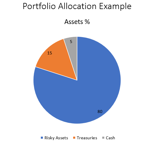 Which Type of Portfolio Might a Young Investor Who Is Not Afraid of Risk Choose? Portfolio