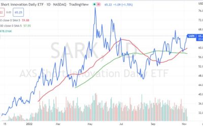 SARK ETF: Is this Short Innovation ETF One to Watch in 2023?