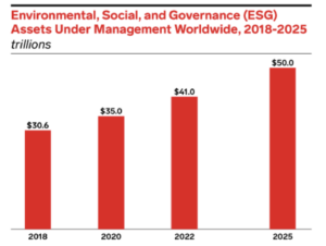 Millennial Thoughts on ESG Investing: A Critical View